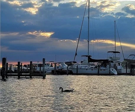Morning Marina Serenity